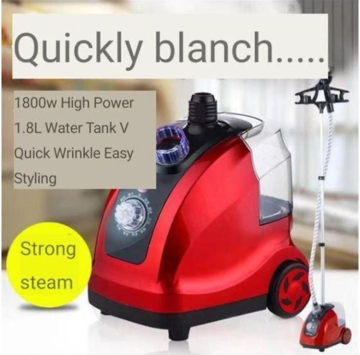 Garment Steamer