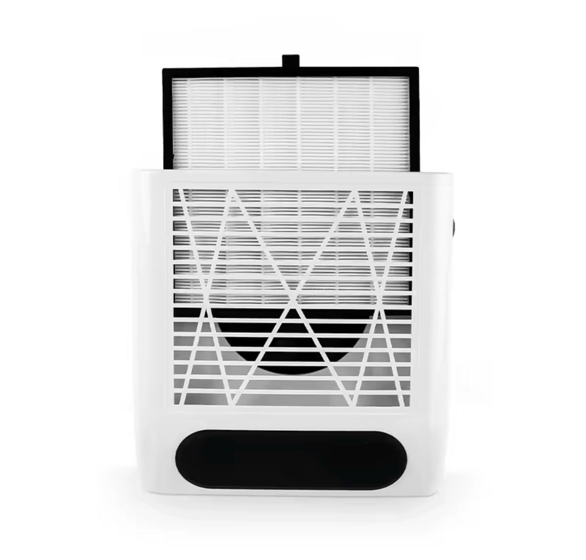 Nail dust collector