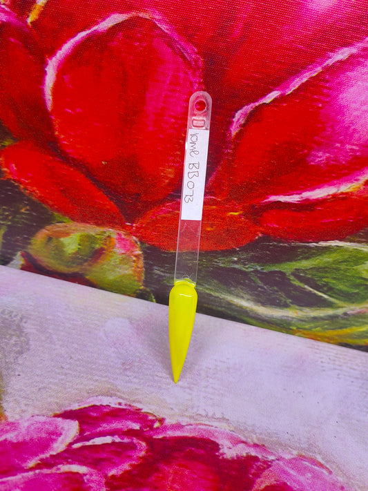 10ml Born Beautiful 73