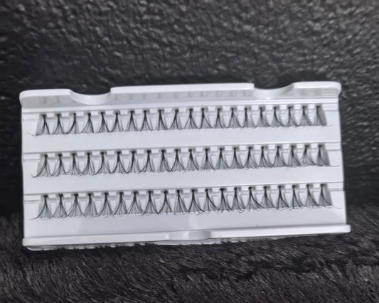 Lashes A